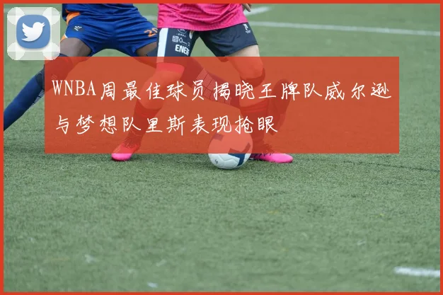 WNBA周最佳球员揭晓王牌队威尔逊与梦想队里斯表现抢眼